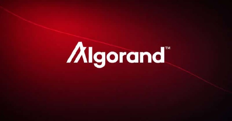 Algorand Foundation cuts 25% of staff as macro pressure and crypto slump weigh on operations