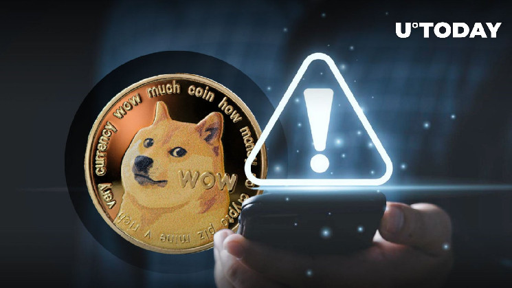 Член сообщества Dogecoin сделал важное предупреждение: что происходит?