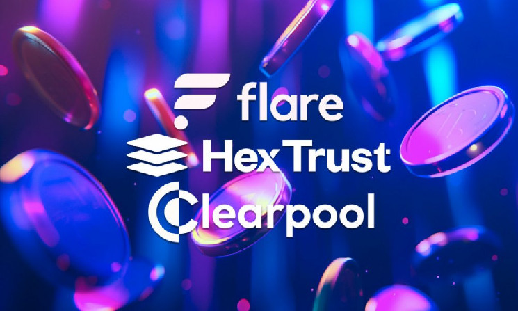 Глава Hex Trust: «USDX создан для поддержки роста экосистемы DeFi на Flare»