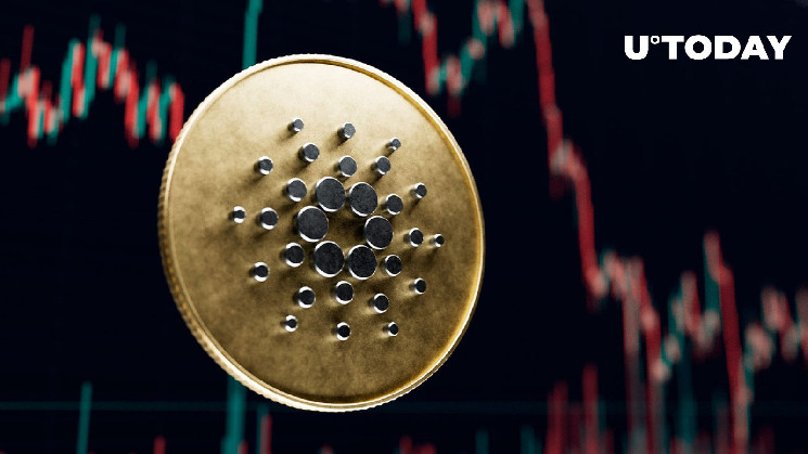 Адреса Cardano (ADA) потеряли 93%, что происходит?