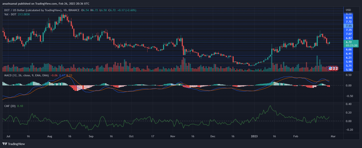 Polkadot Menemukan Dukungan Pada $6 