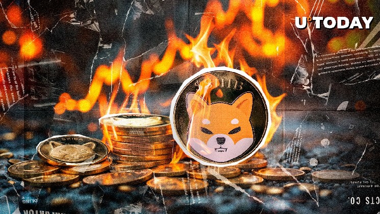 327 003,078 Shib Foremed, когда скорость сжигания Shib сказывается на 300%