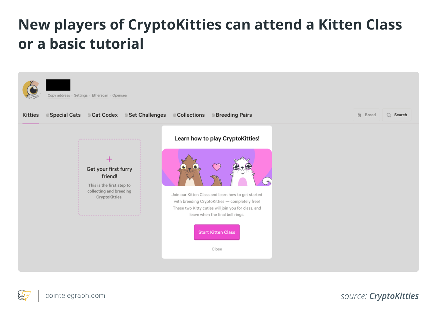 Как играть и зарабатывать в CryptoKitties