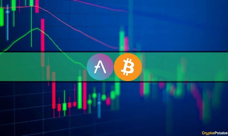 Биткойн восстанавливается с падения до 102 тыс. Долл. США, Aave Skyrockets более чем на 20% (Market Watch)
