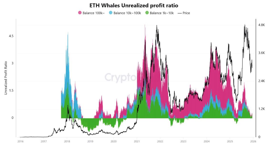 eth-whales-unrealized-profit-2025