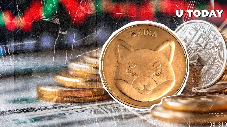 Это падение на 60% на Шиба Ину (Шиб) является экстремальным бычьим, вот почему