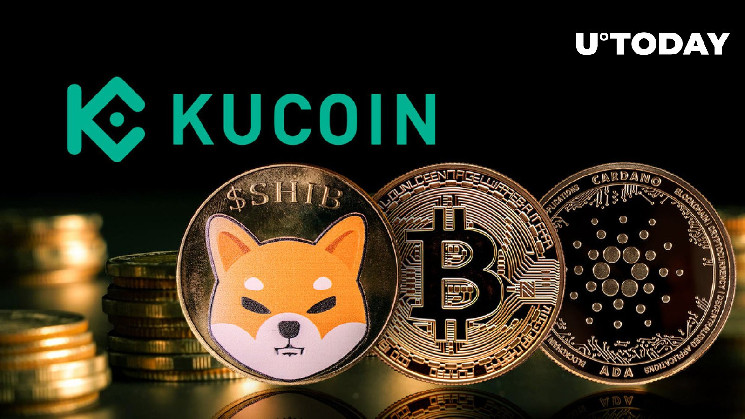 SHIB, BTC, ADA: KuCoin выпускает критическое предупреждение для пользователей криптовалюты в связи с этим развитием событий