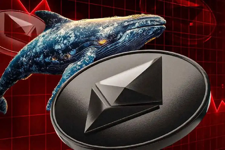 Ethereum сталкивается с шоком на фоне накопления китов, в следующем сезоне Altcoin?