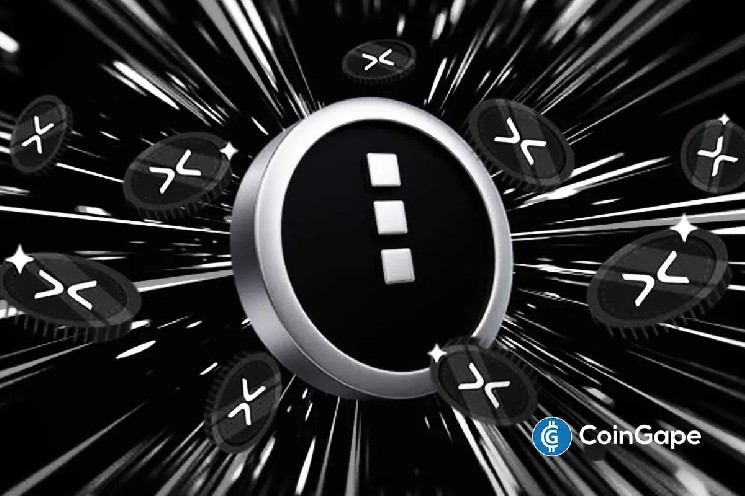 Как проверить, имеете ли вы право на ночные токены в качестве держателя XRP