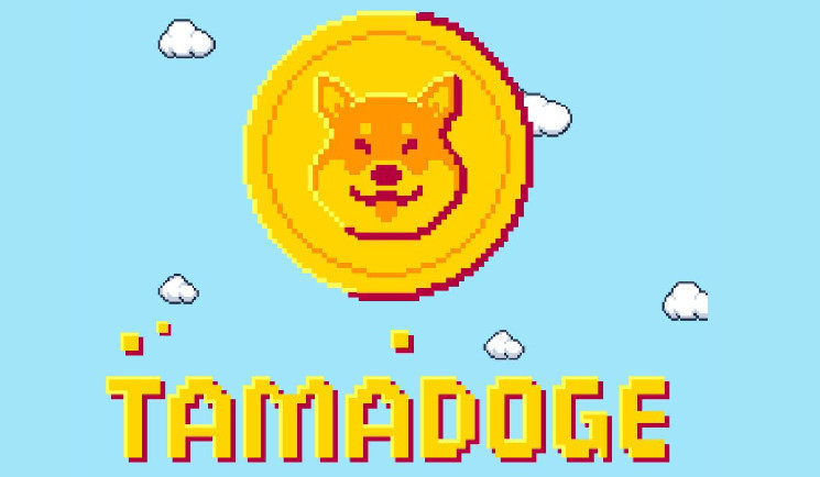 Прогноз цены Baby Doge: является ли Tamadoge (TAMA) лучшей инвестицией в мем-монеты сегодня?