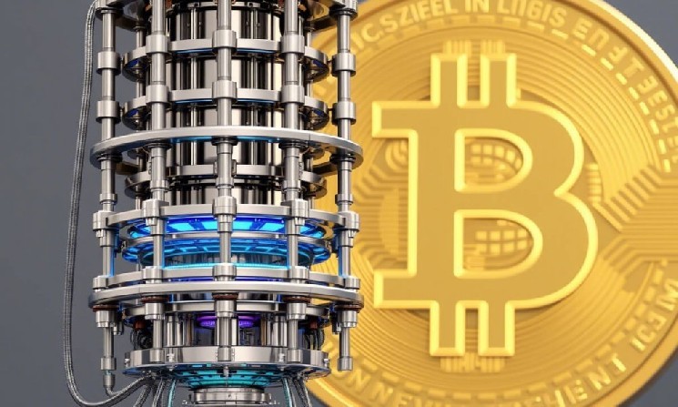 Project 11 предлагает 1 BTC тому, кто взломает «игрушечный» биткон‑ключ