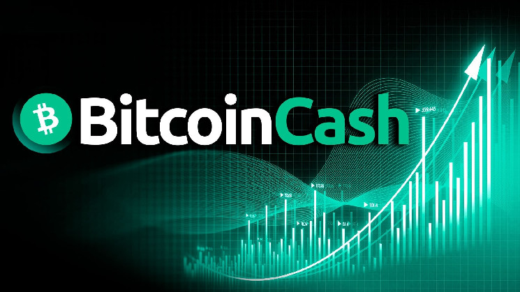 Цена Bitcoin Cash (BCH) выросла на 17%, открытый интерес достиг 500 миллионов долларов, а затем сократился вдвое