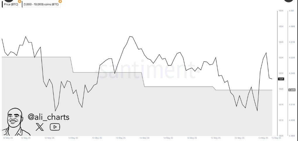 Renowned Crypto Analyst Targets Bitcoin Price at $120K as Technical Indicators Flash Bullish 1 AD 4nXeFrIPbGLdvWNy9T63r2dcWIoF OZbr fl1OCHlHJn c0TwkTecCCAXYZtTOYPo7UU 8AhFzlEzEjsl0tVVc3f06NfU30ie0tcqIv7M0oEiNG gEFLP1TDaEIeLJj6Htm7n dGXw?key=ybbuNi sn UQ5HoTiqgmaA