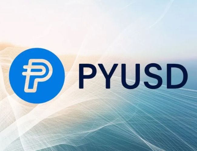 PayPal Stablecoin PYUSD присоединяется к экосистеме криптовалютных платежей BVNK