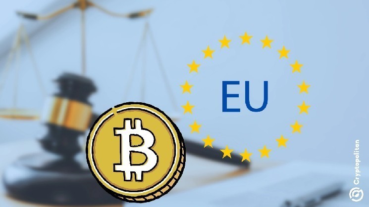 Крипто -биржи и поставщики процветают 6 месяцев в регулирование слюды ЕС.