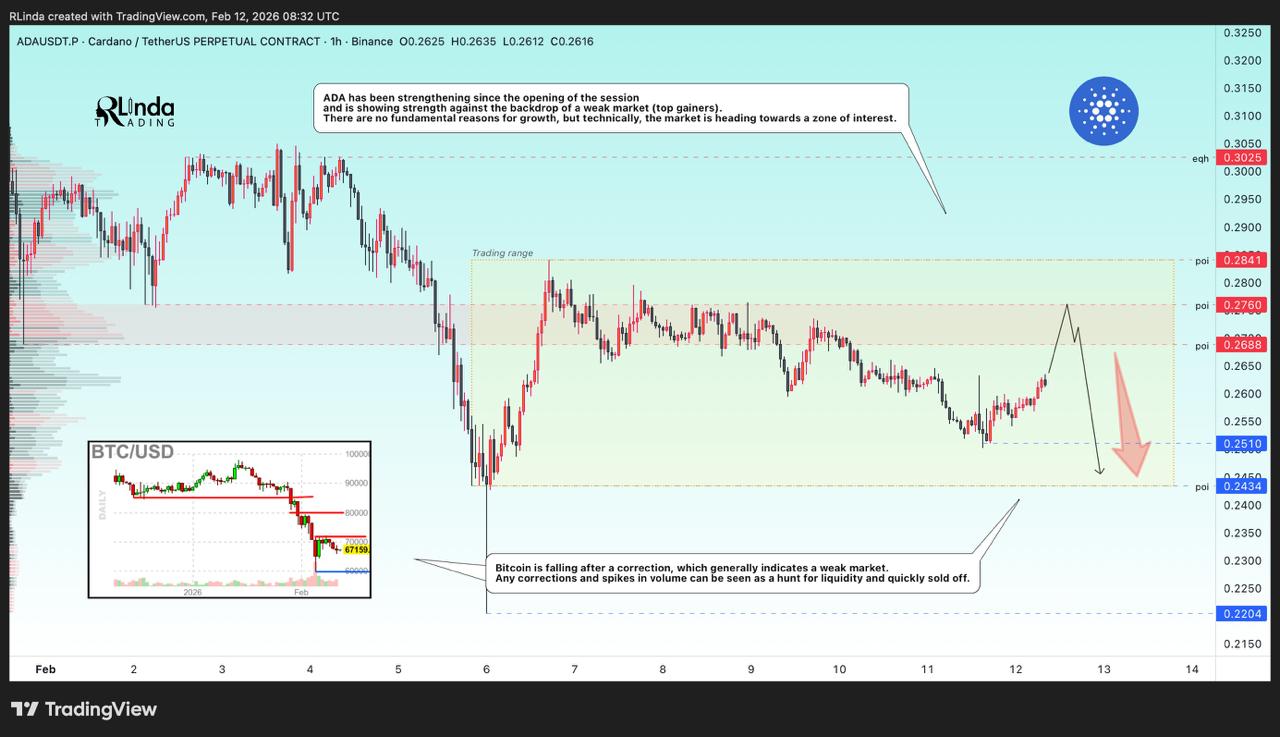 Possible Cardano Breakdown to $0.220 Support