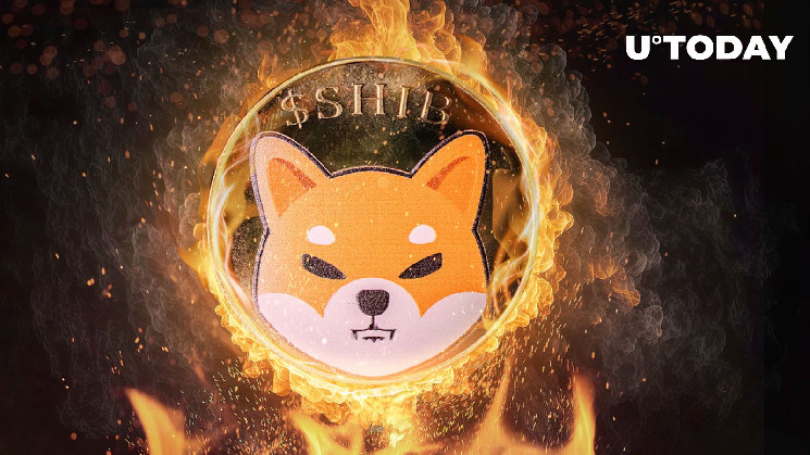 Le taux de combustion du Shiba Inu (SHIB) grimpe de 543 % au mépris de la baisse des prix du SHIB