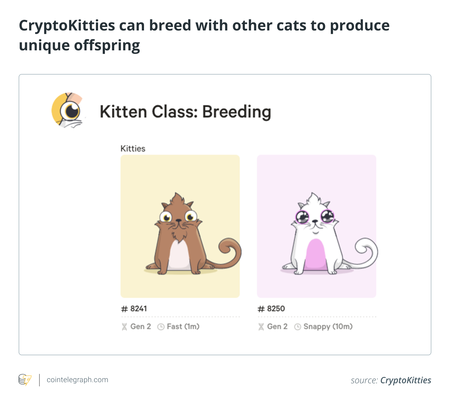 Как играть и зарабатывать в CryptoKitties