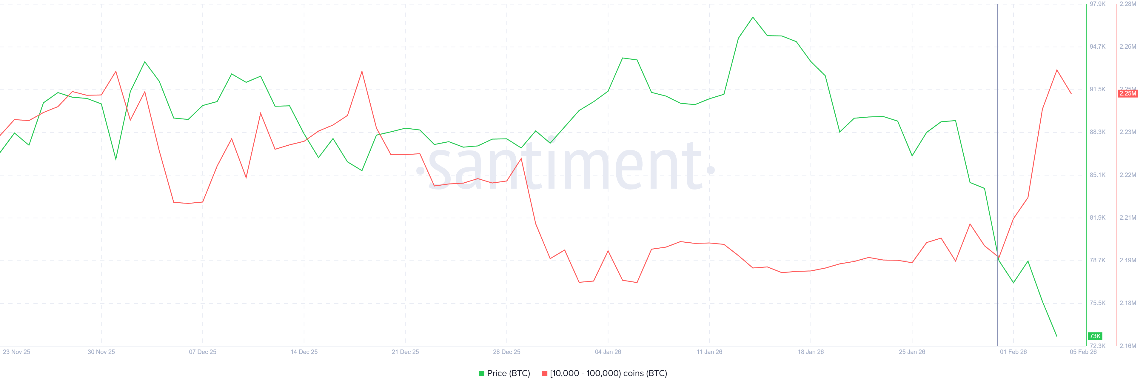 Bitcoin Whale Accumulation
