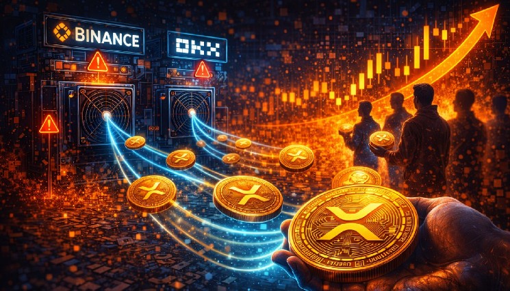 XRP Holders Are Pulling Coins Off Exchanges – History Points To A Strong Move