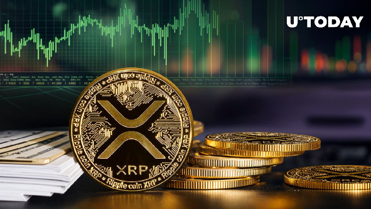 Держатели XRP вывели огромные 40,6 миллиона XRP с основной биржи