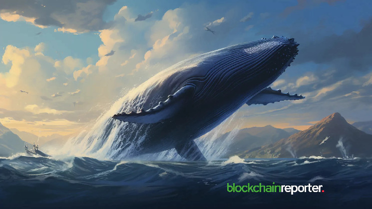 Биткойн-кит добавил 102 BTC к накоплению в $232 млн на фоне скачка цен