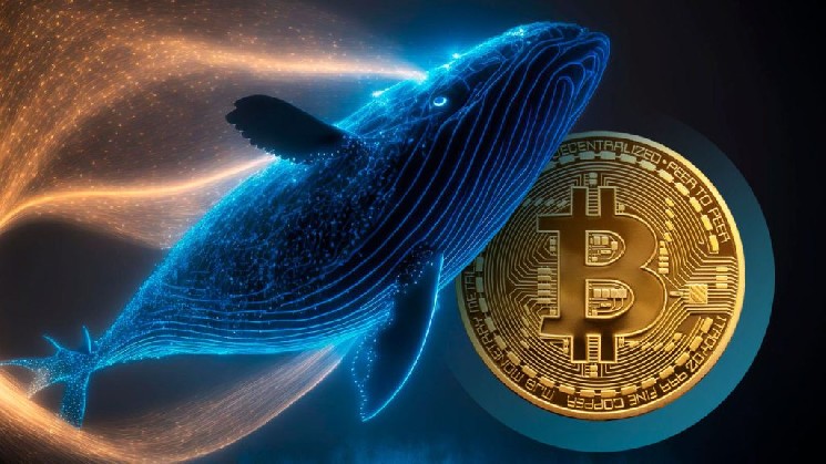 Bitcoin Whale Transfers Over $20 Million Worth of BTC to Binance Exchange! Pre-Sale Preparation? Here Are the Details