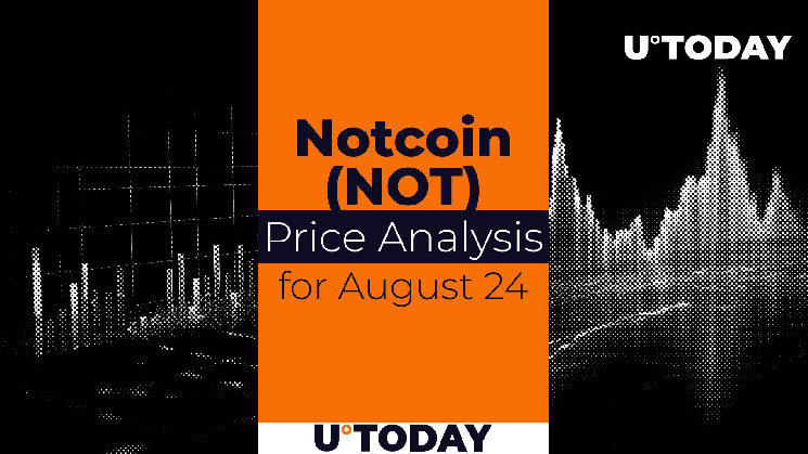 Прогноз Notcoin (NOT) на 24 августа