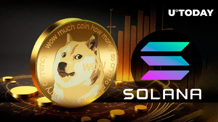Основатель Dogecoin раскрывает «секрет» создания мем-монет