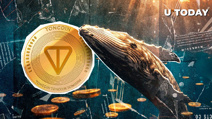 Toncoin (TON) вырос на 80% из-за активности китов, поскольку рынок сталкивается с распродажей в конце года