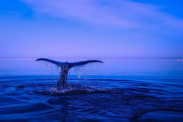 WhaleAlert сообщает о массовых переводах стейблкоинов