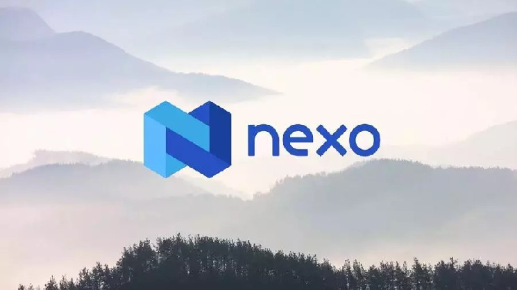 Nexo получил предварительную лицензию от дубайского регулятора