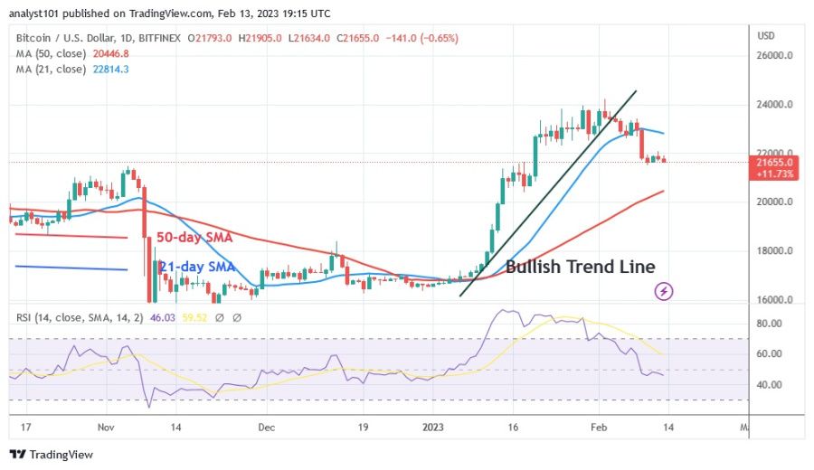 BTCUSD(Daily Chart) - February 13.23.jpg