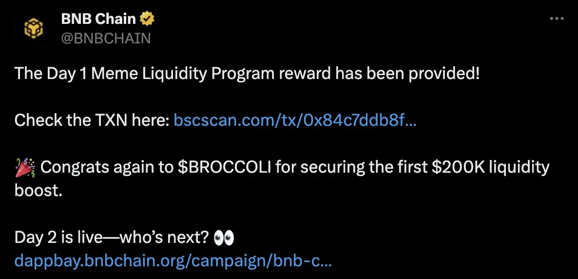 BNB Chain announces the first winner of its memecoin liquidity program