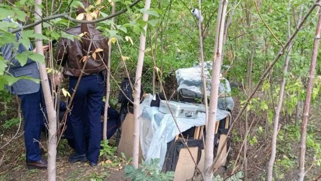 В лесопосадке Иркутска ликвидирована нелегальная майнинг-ферма В лесопосадке Иркутска ликвидирована нелегальная майнинг-ферма