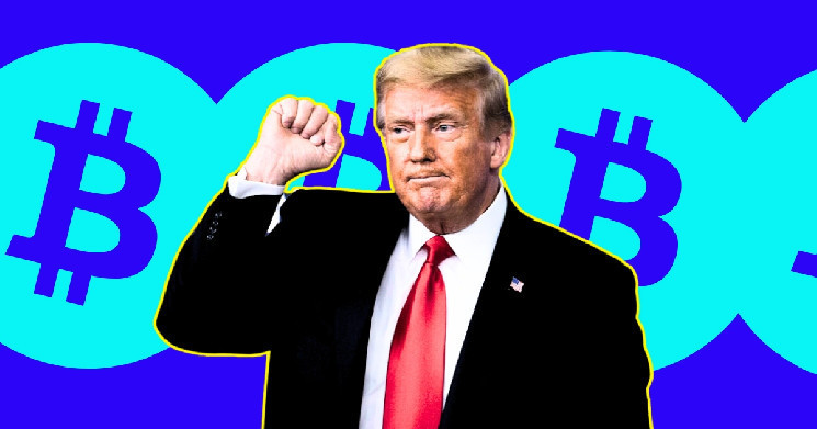 XRP, ADA и другие альткоины будут накапливаться перед выступлением Трампа в Нэшвилле