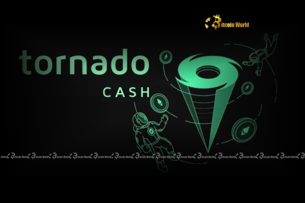 Торнадо наличные: непоколебимая позиция Roman Storm против испорченных средств Crypto Hacker