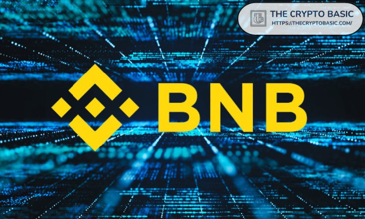 Данные показывают, что BNB опережает альткойны с менее серьезными потерями во время просадки