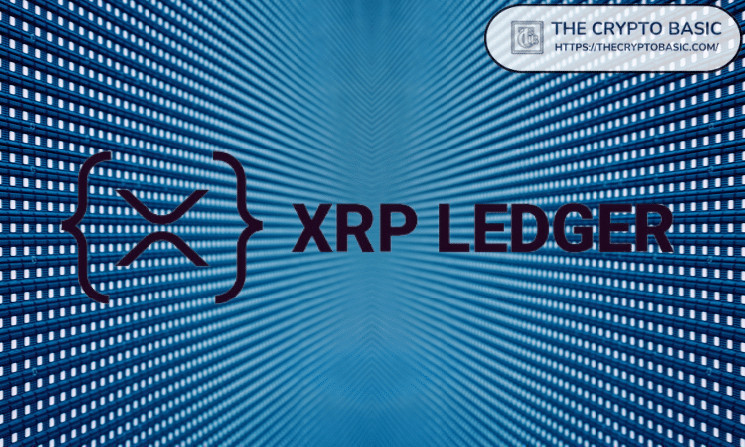 Эксперт раскрывает важные факты, которые следует учитывать перед использованием XRP Ledger AMM