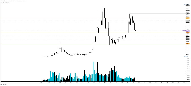 В Cryptology спрогнозировали движение цен биткоина и Ethereum