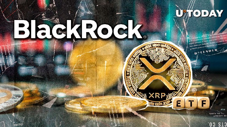 BlackRock может подать на XRP ETF. Что это может означать для шансов одобрения?