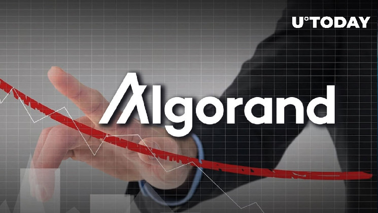 Более 98% адресов Algorand (ALGO) утеряны, вот как переломить ситуацию