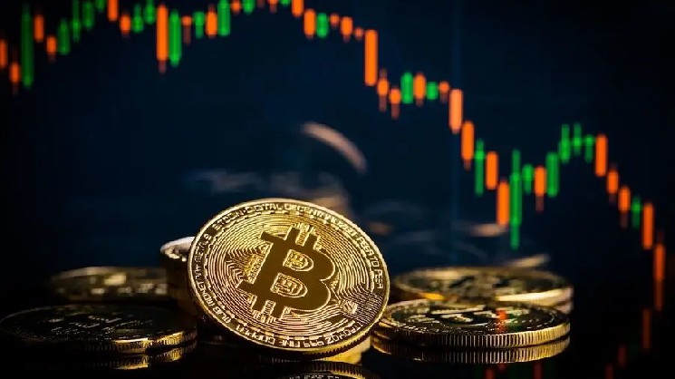 Стагнация биткоина и рекорды Cardano: как начинается август на крипторынке Стагнация биткоина и рекорды Cardano: как начинается август на крипторынке