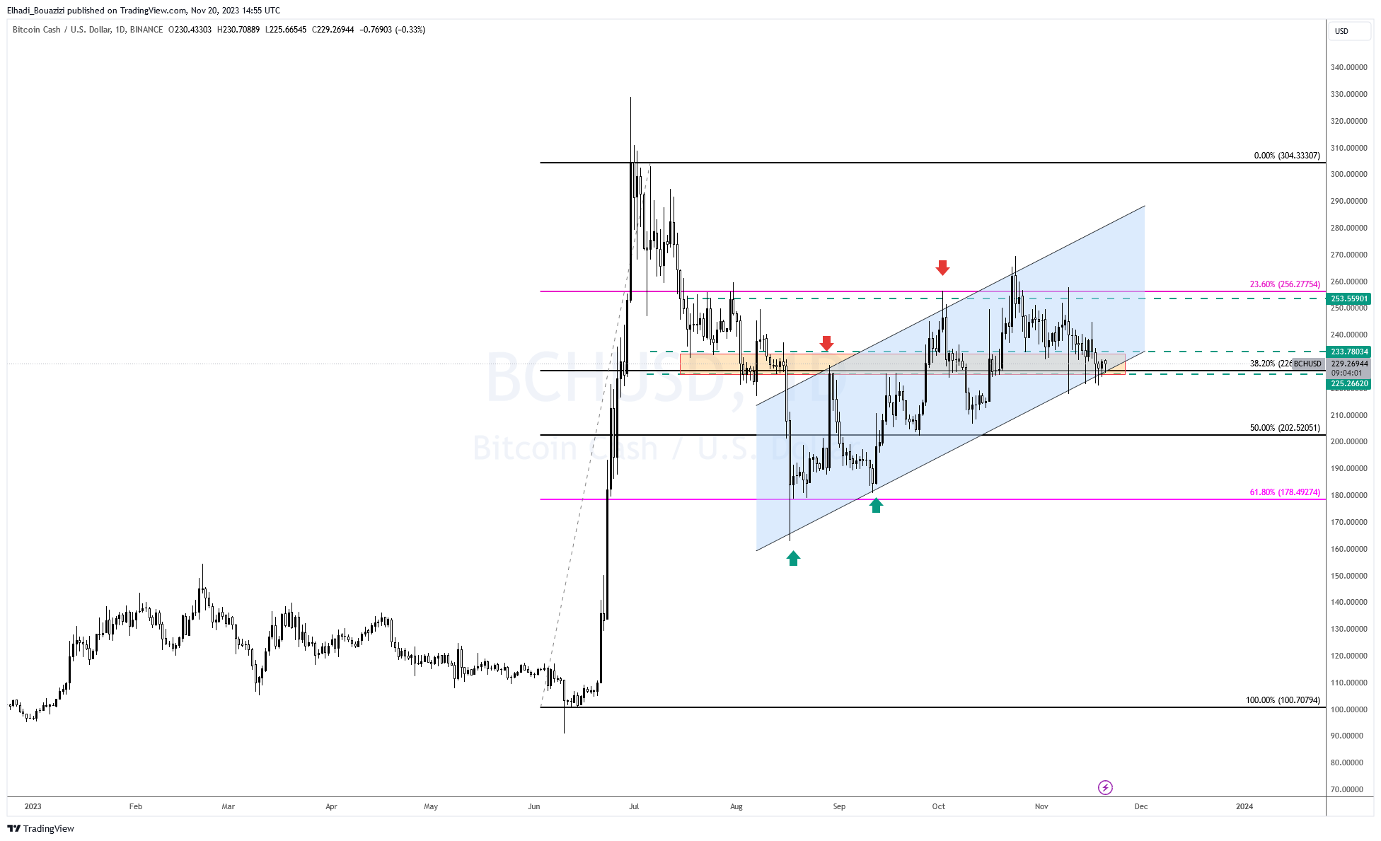 الرسم البياني اليومي لسعر عملة BCH