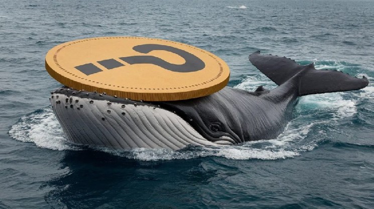 Even the Patient Whale Couldn’t Hold Out: The Altcoin He Didn’t Sell When It Was Up 100% Was Sold at a Loss Today
