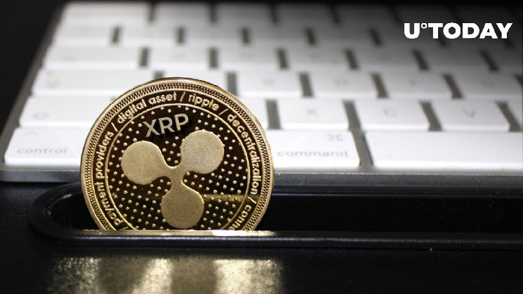 Миллионы украденных XRP в бегах: последнее обновление раскрывает поразительные события