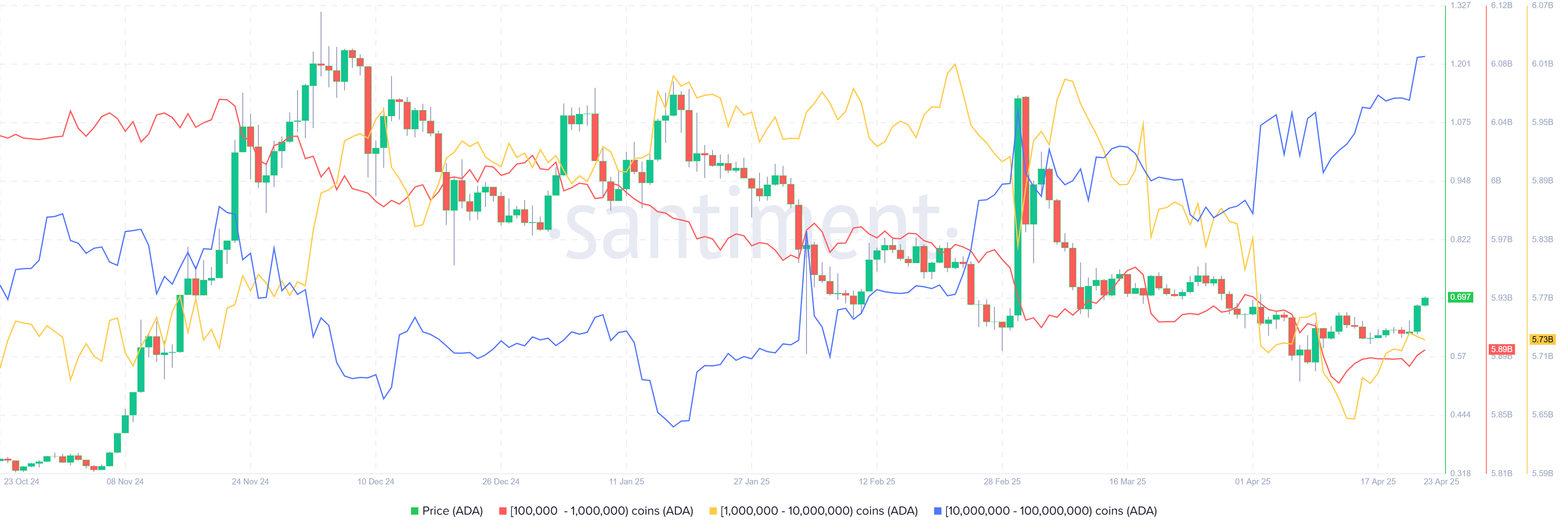 Gráfico de Distribución de Suministro de Cardano. Fuente: Santiment