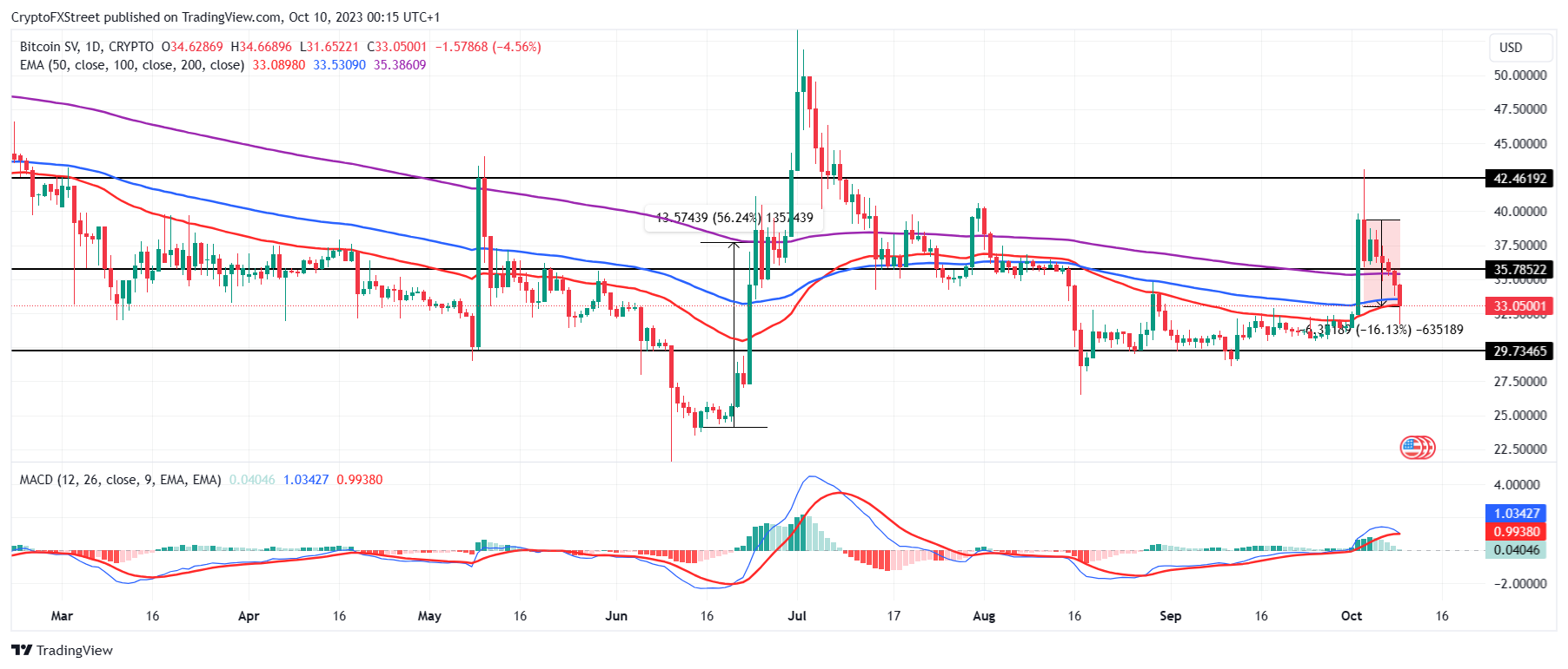 BSV/USD 1-day chart