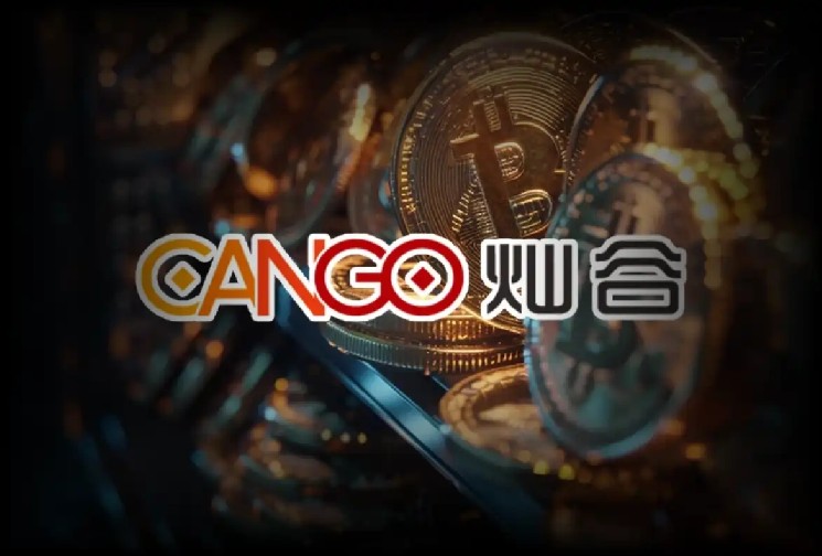 Канго Биткойн Успех: Институциональный BTC Holdings взлетел до 2944,8