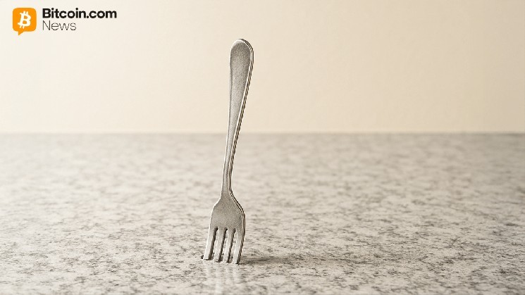 Разработчик отмечает основные риски в предлагаемом софт-форке биткойнов с сокращенным объемом данных